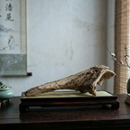 THE ANCIENT DRAGON BONE