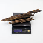 ZEN DUET | Limited Edition of Premium Natural Oud Wood Raw Material