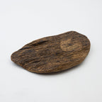 The Zen Fragment