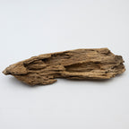 Natural Insect Leak Oud Wood Chunk