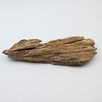 Natural Insect Leak Oud Wood Chunk