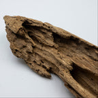 Natural Insect Leak Oud Wood Chunk