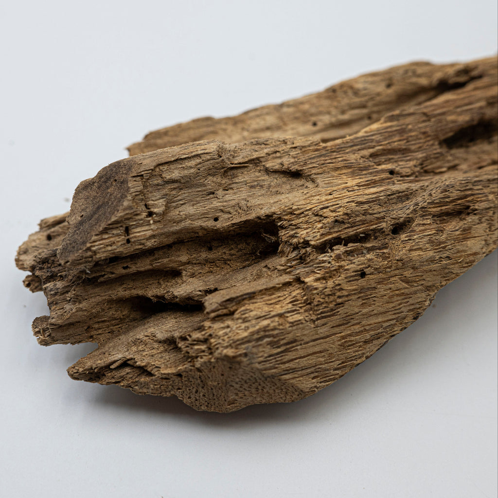 Natural Insect Leak Oud Wood Chunk