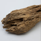 Natural Insect Leak Oud Wood Chunk