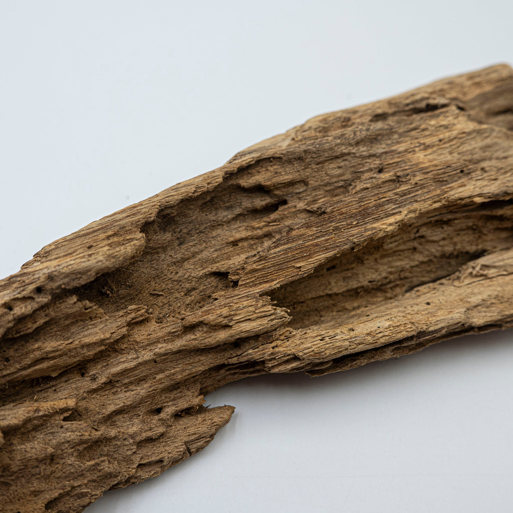 Natural Insect Leak Oud Wood Chunk