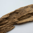 Natural Insect Leak Oud Wood Chunk