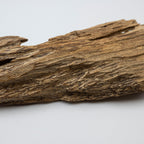Natural Insect Leak Oud Wood Chunk