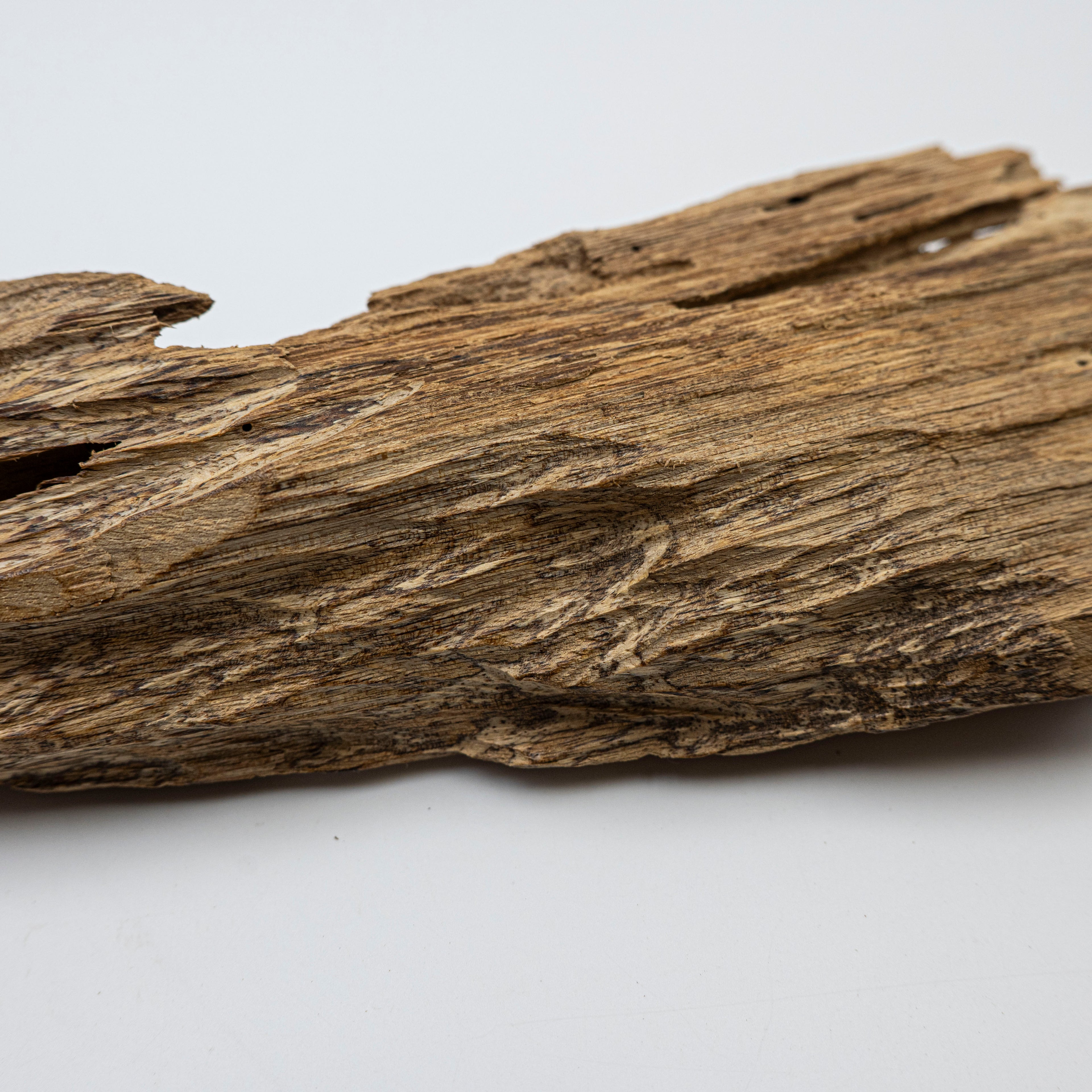 Natural Insect Leak Oud Wood Chunk