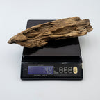 Natural Insect Leak Oud Wood Chunk