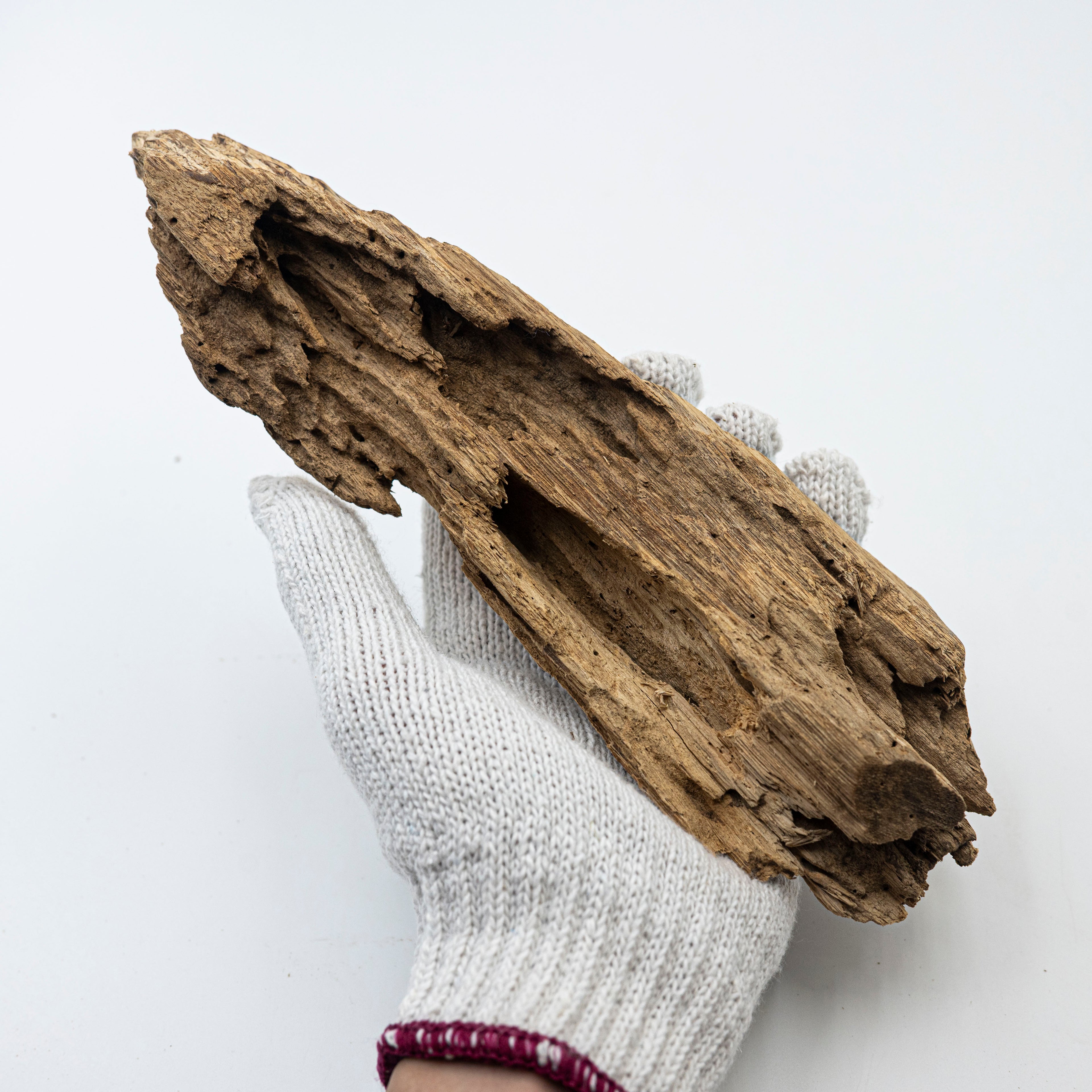 Natural Insect Leak Oud Wood Chunk