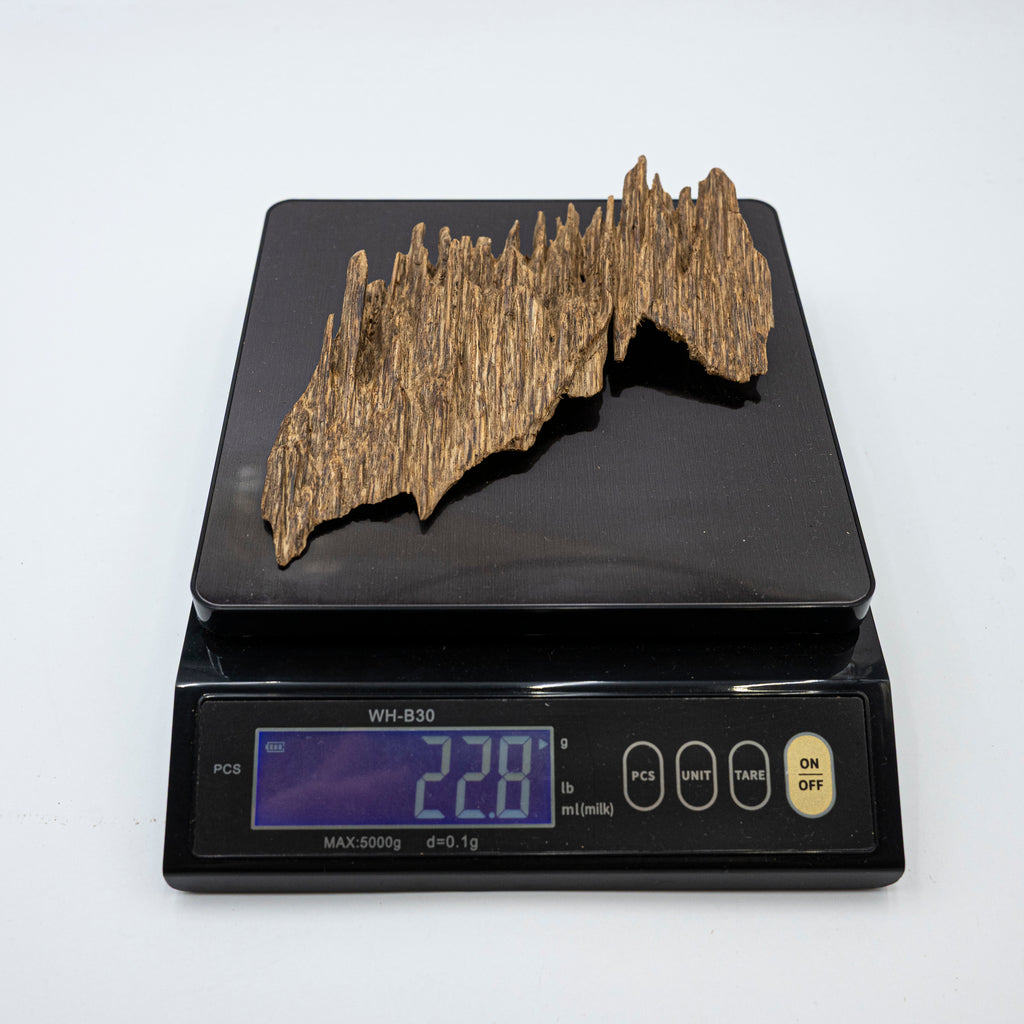 The Jagged Ridge