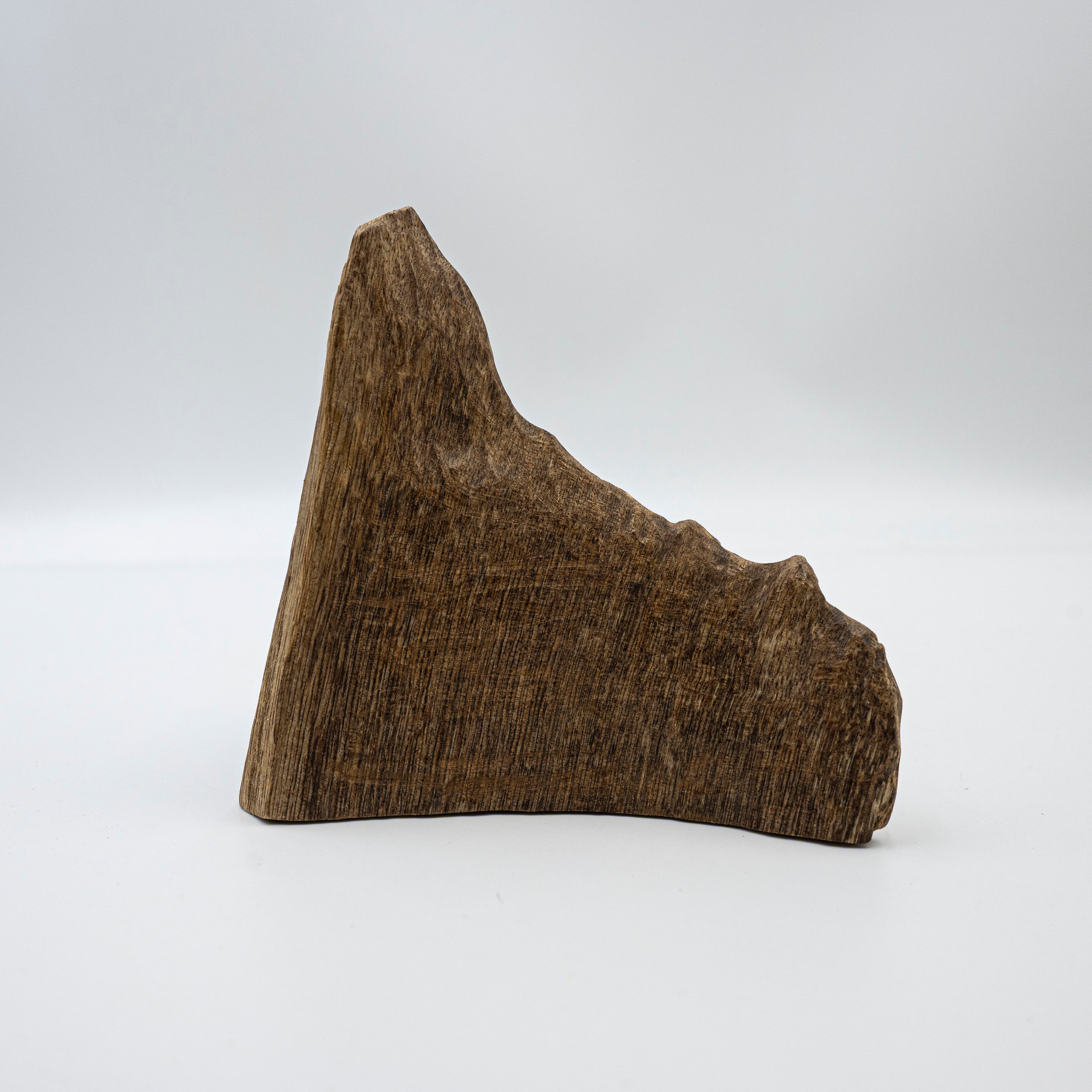 The Raw Fragment