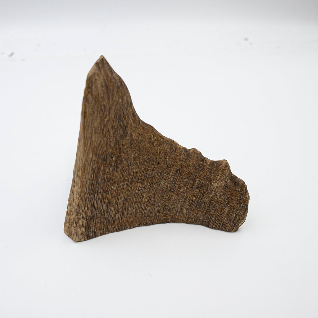 The Raw Fragment