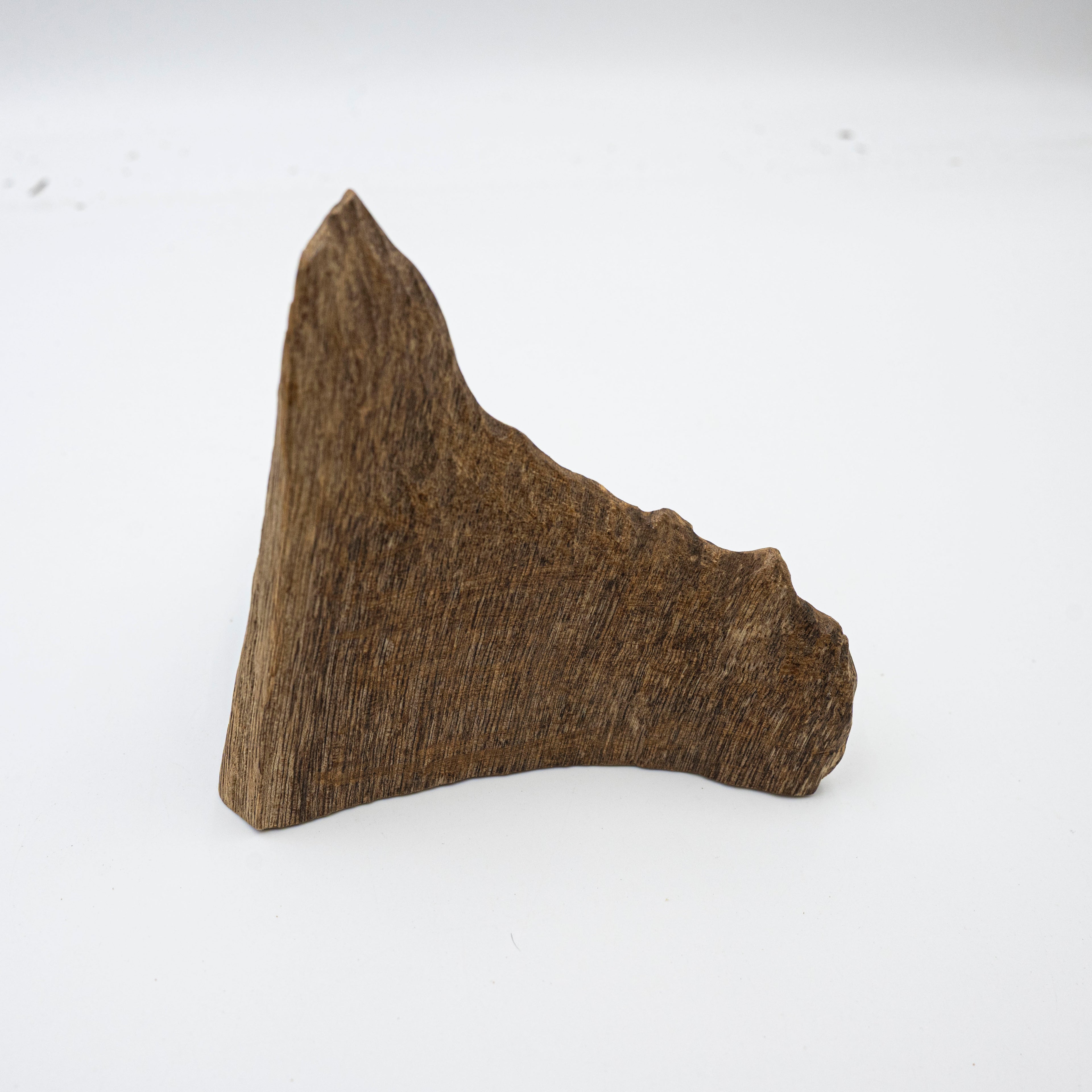 The Raw Fragment