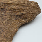 The Raw Fragment