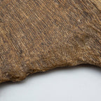 The Raw Fragment