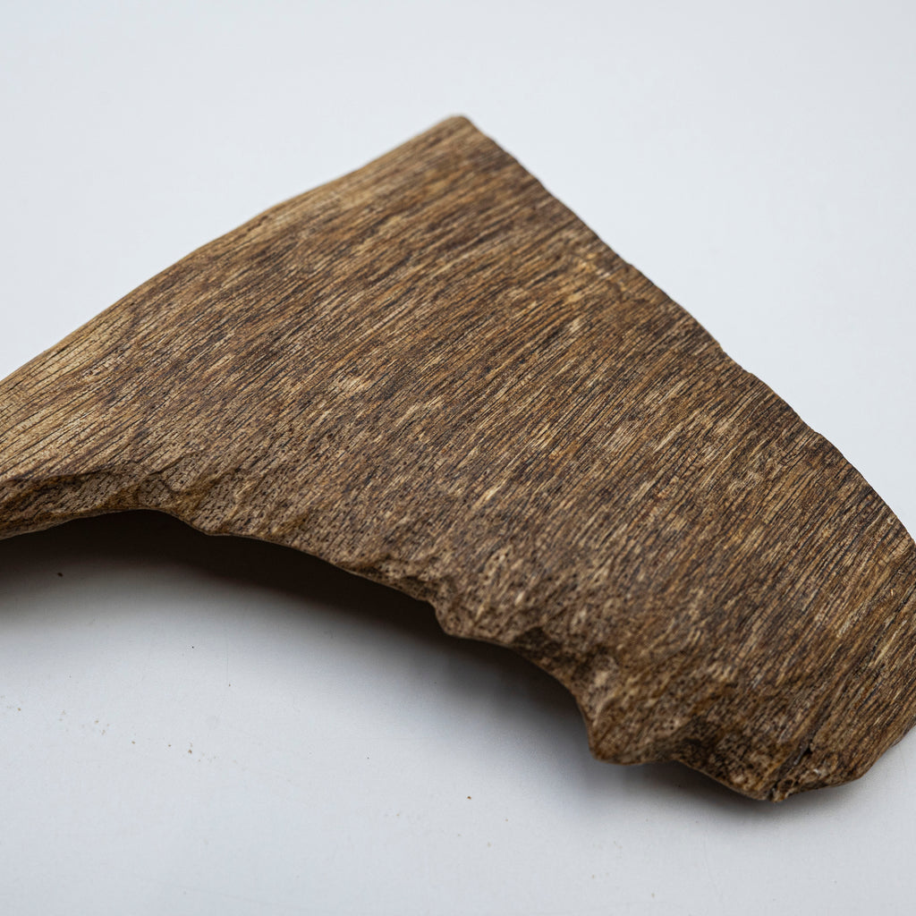 The Raw Fragment