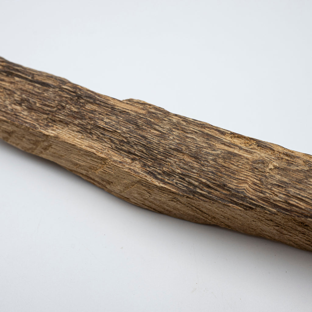 The Earth’s Rib