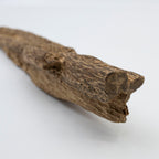 The Earth’s Rib