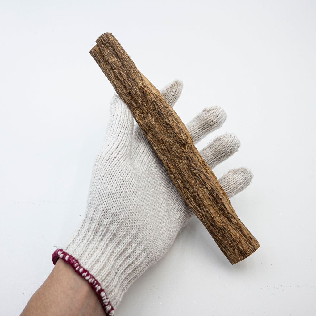 The Earth’s Rib