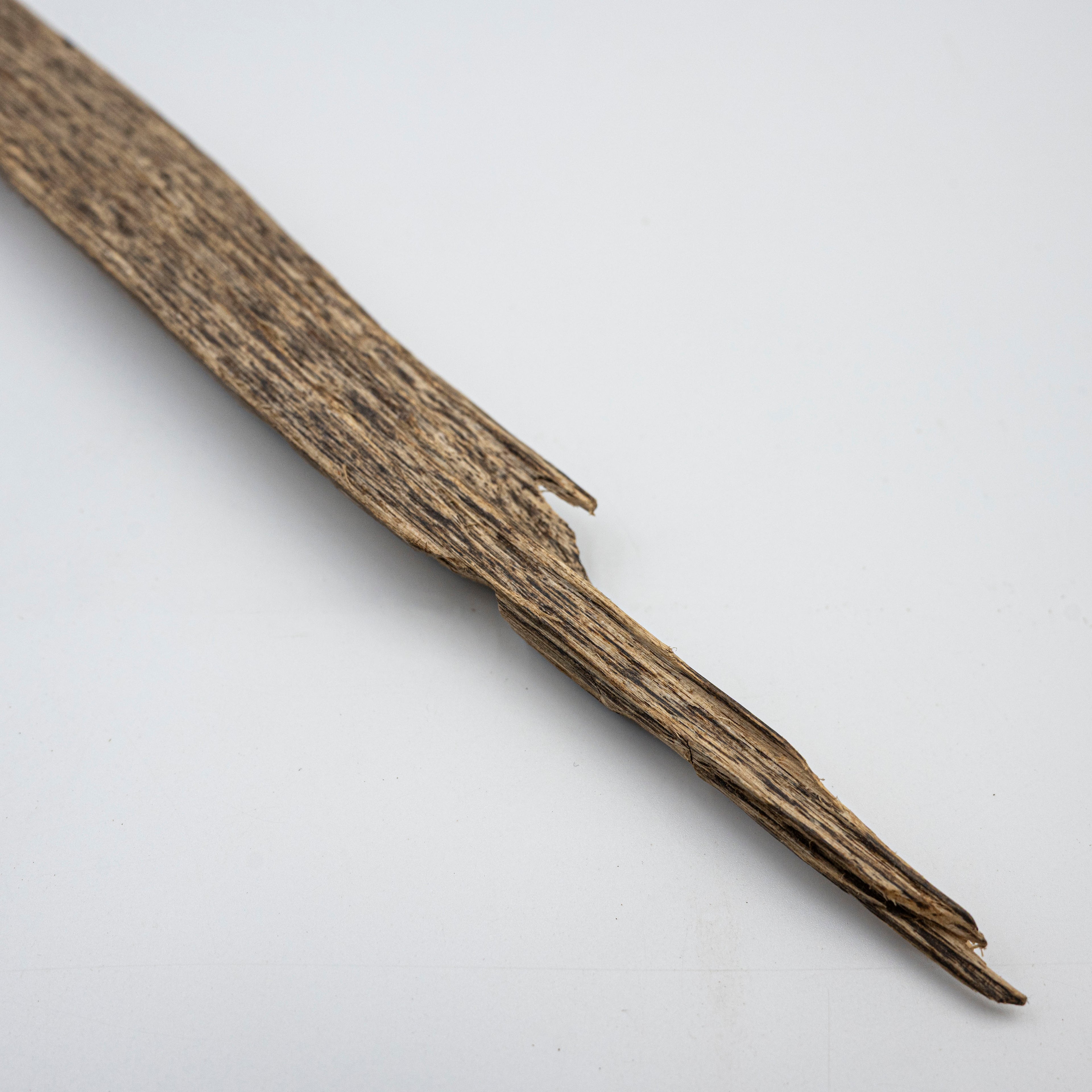 The Hollow Sabre