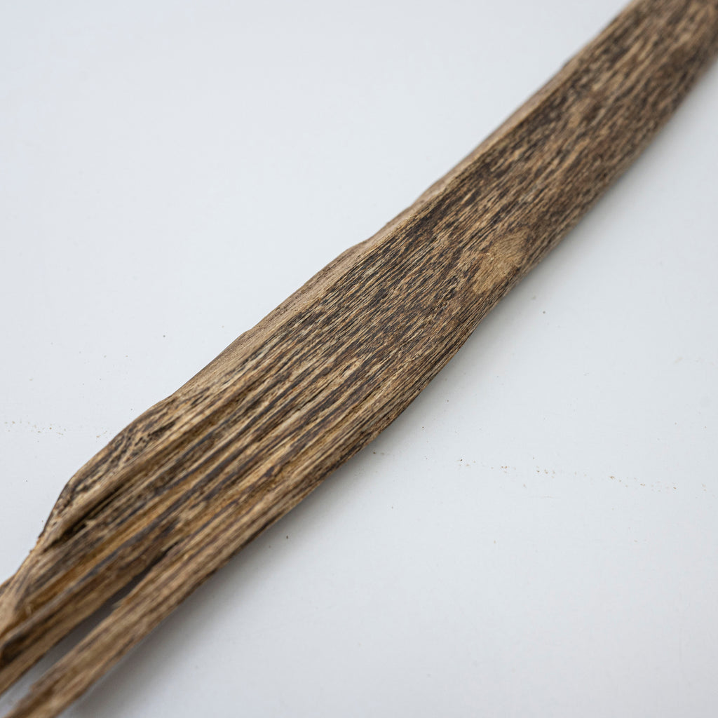 The Hollow Sabre