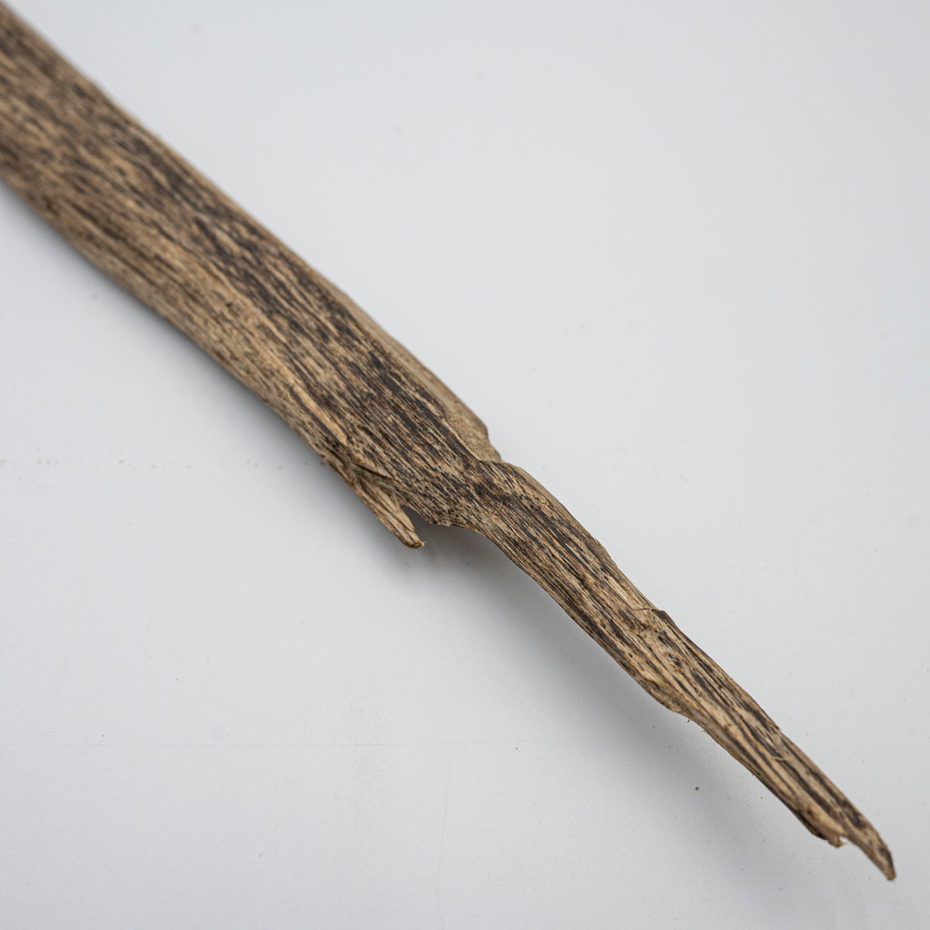 The Hollow Sabre