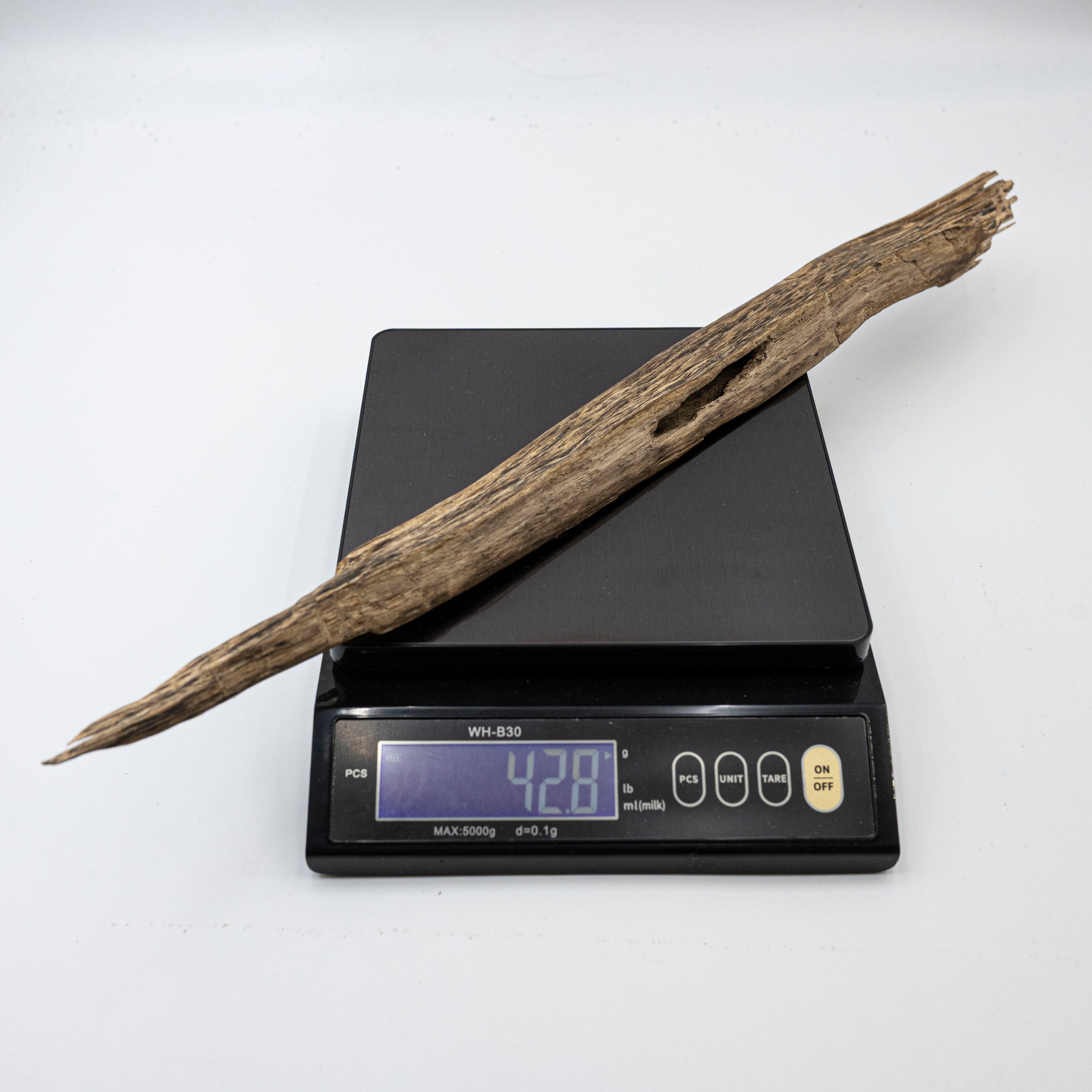 The Hollow Sabre