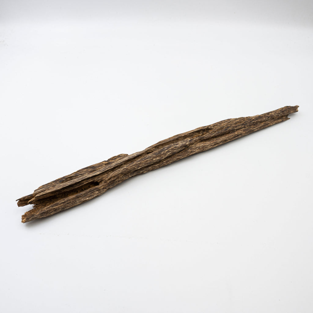 The Sylvan Spine