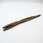 The Sylvan Spine