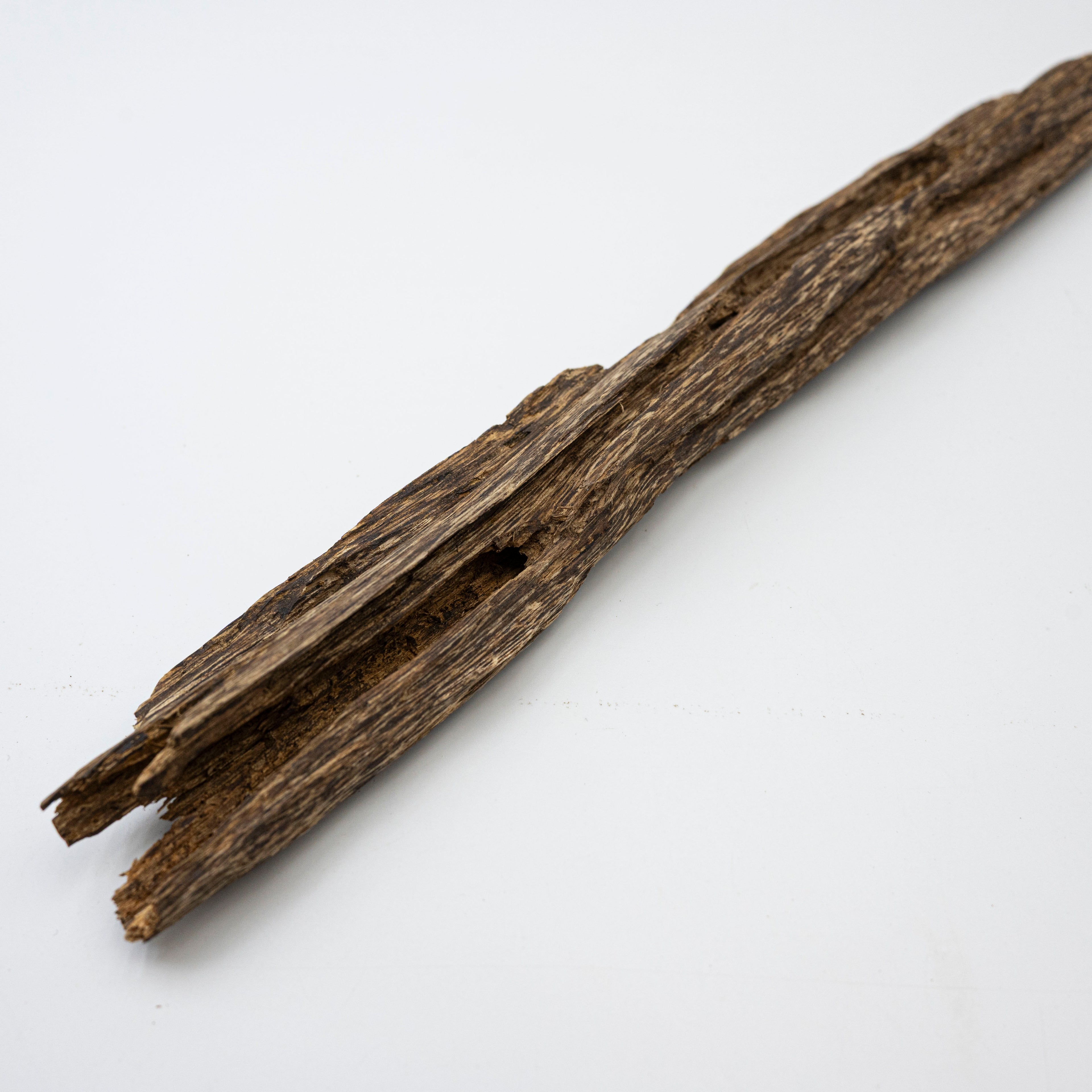 The Sylvan Spine