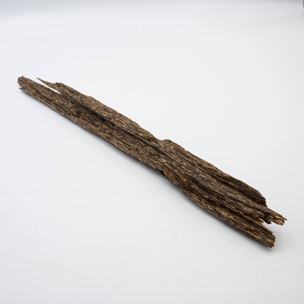 The Sylvan Spine