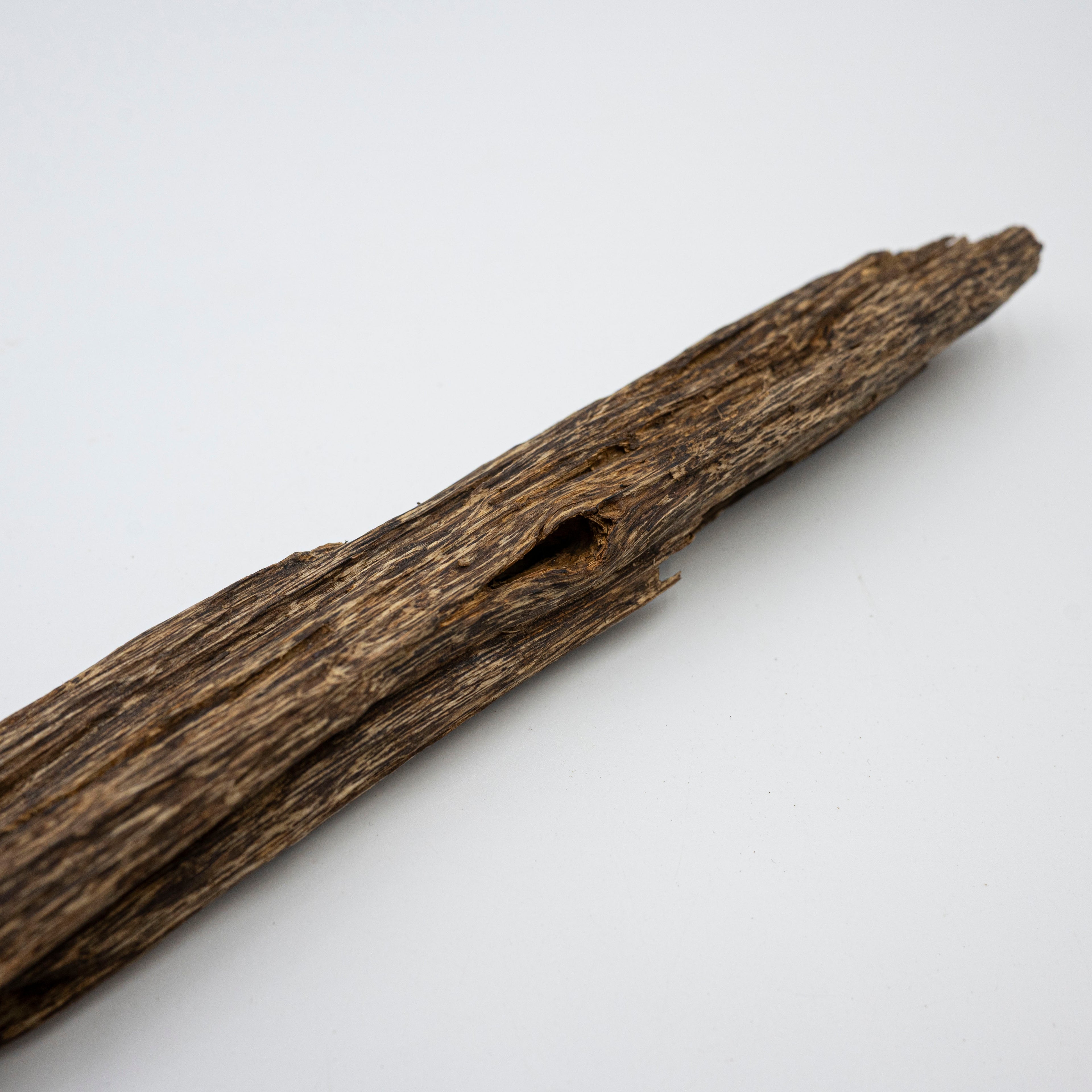 The Sylvan Spine