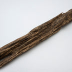 The Sylvan Spine