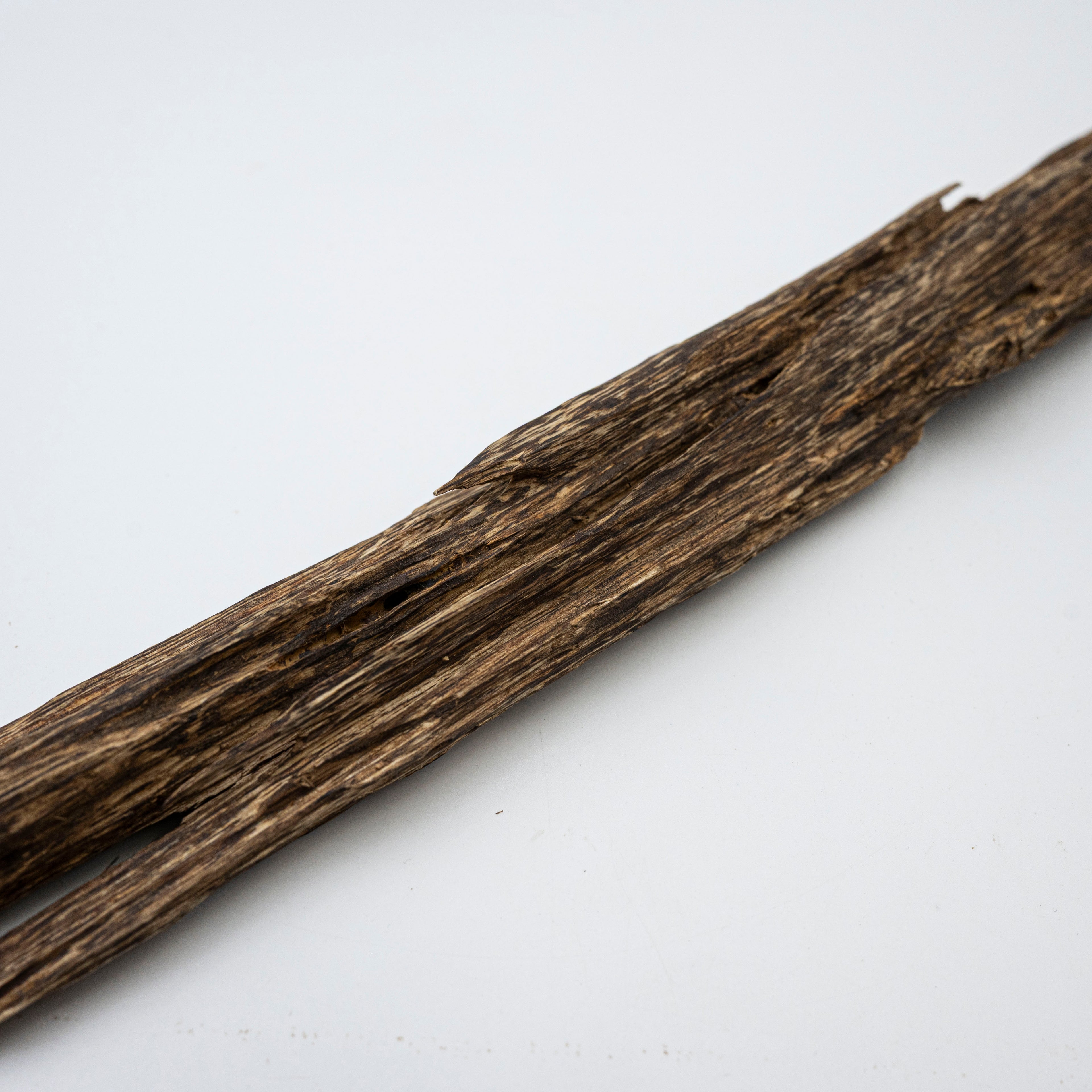 The Sylvan Spine