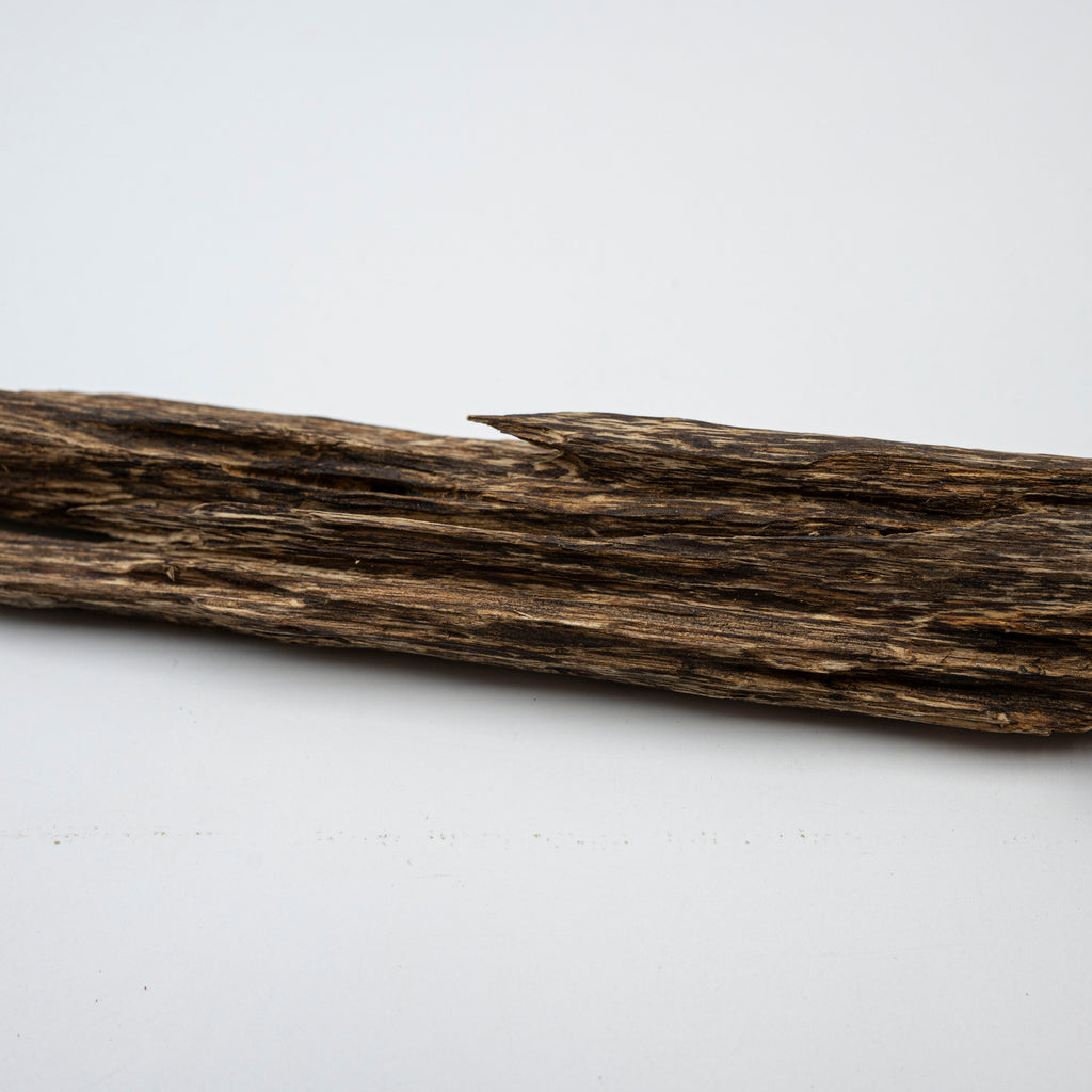 The Sylvan Spine