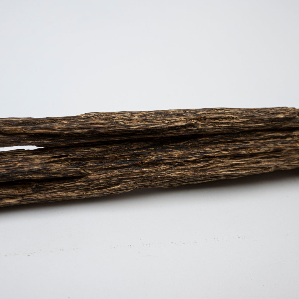 The Sylvan Spine