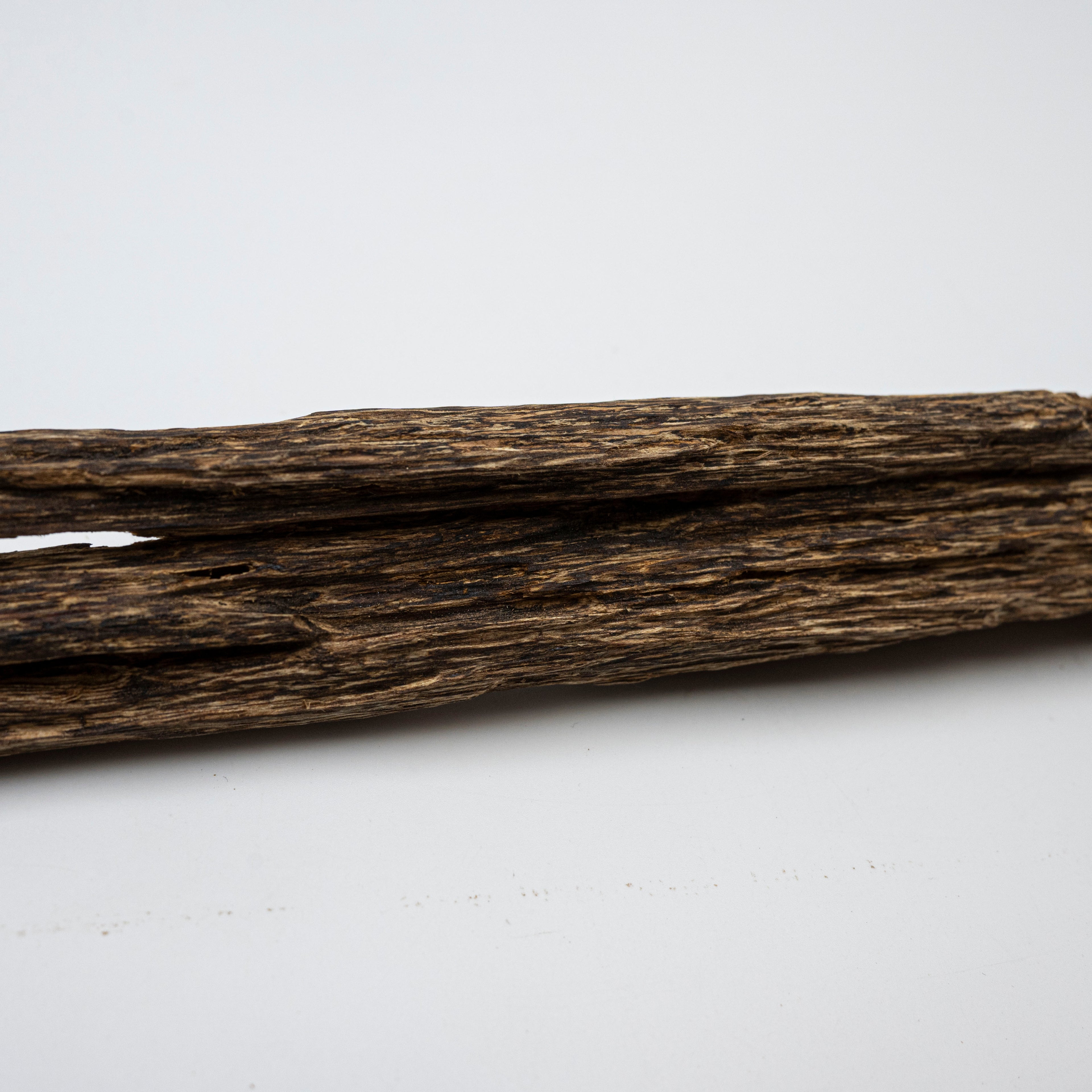 The Sylvan Spine