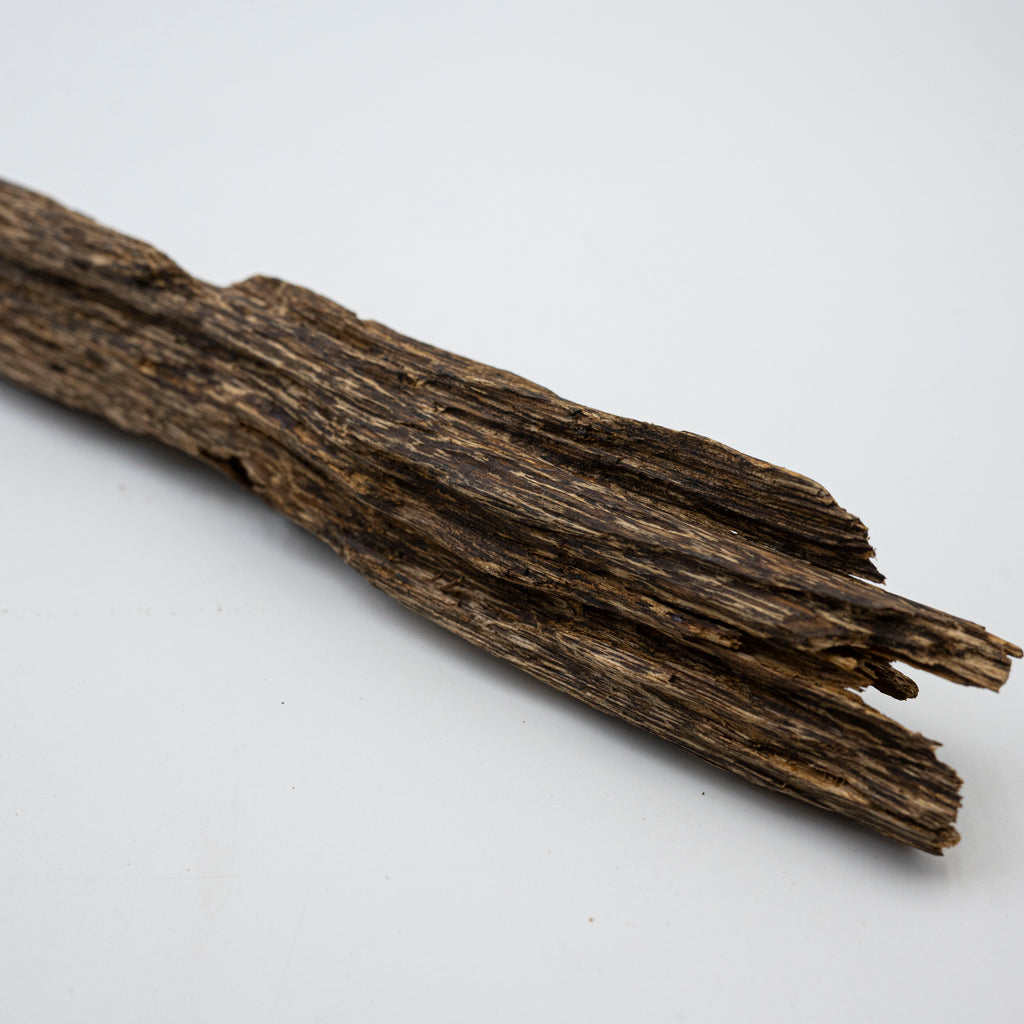 The Sylvan Spine