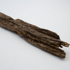 The Sylvan Spine