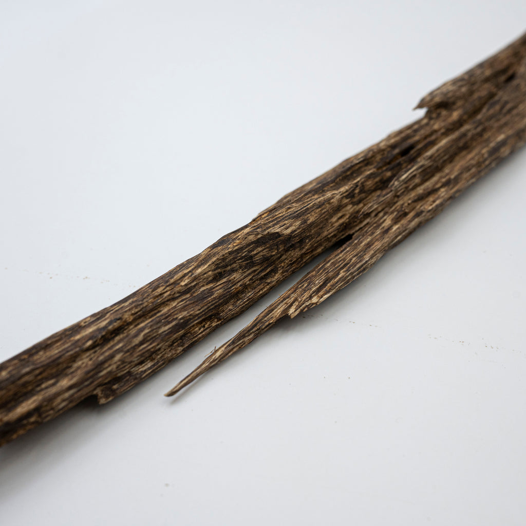 The Sylvan Spine