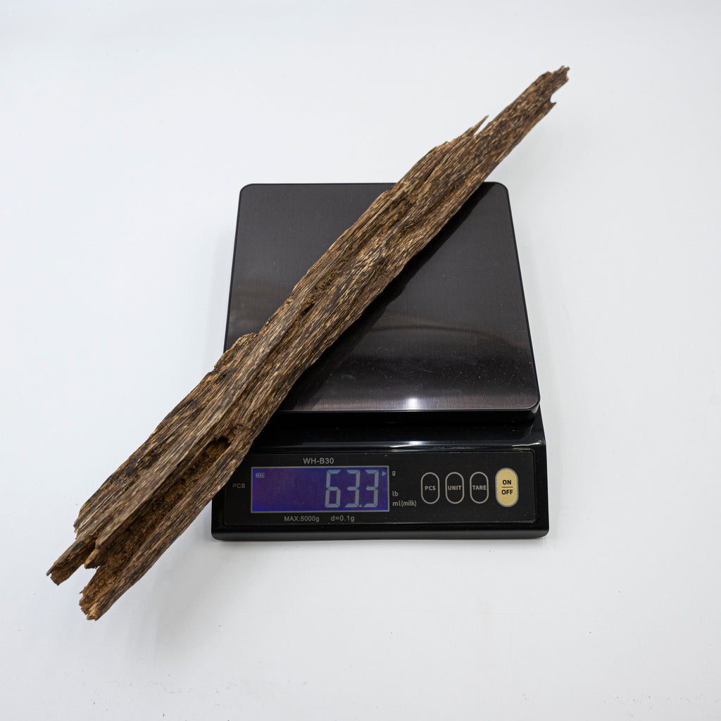The Sylvan Spine