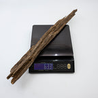 The Sylvan Spine