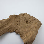 THE SHELL ARMOUR