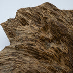 The Submerged Monolith