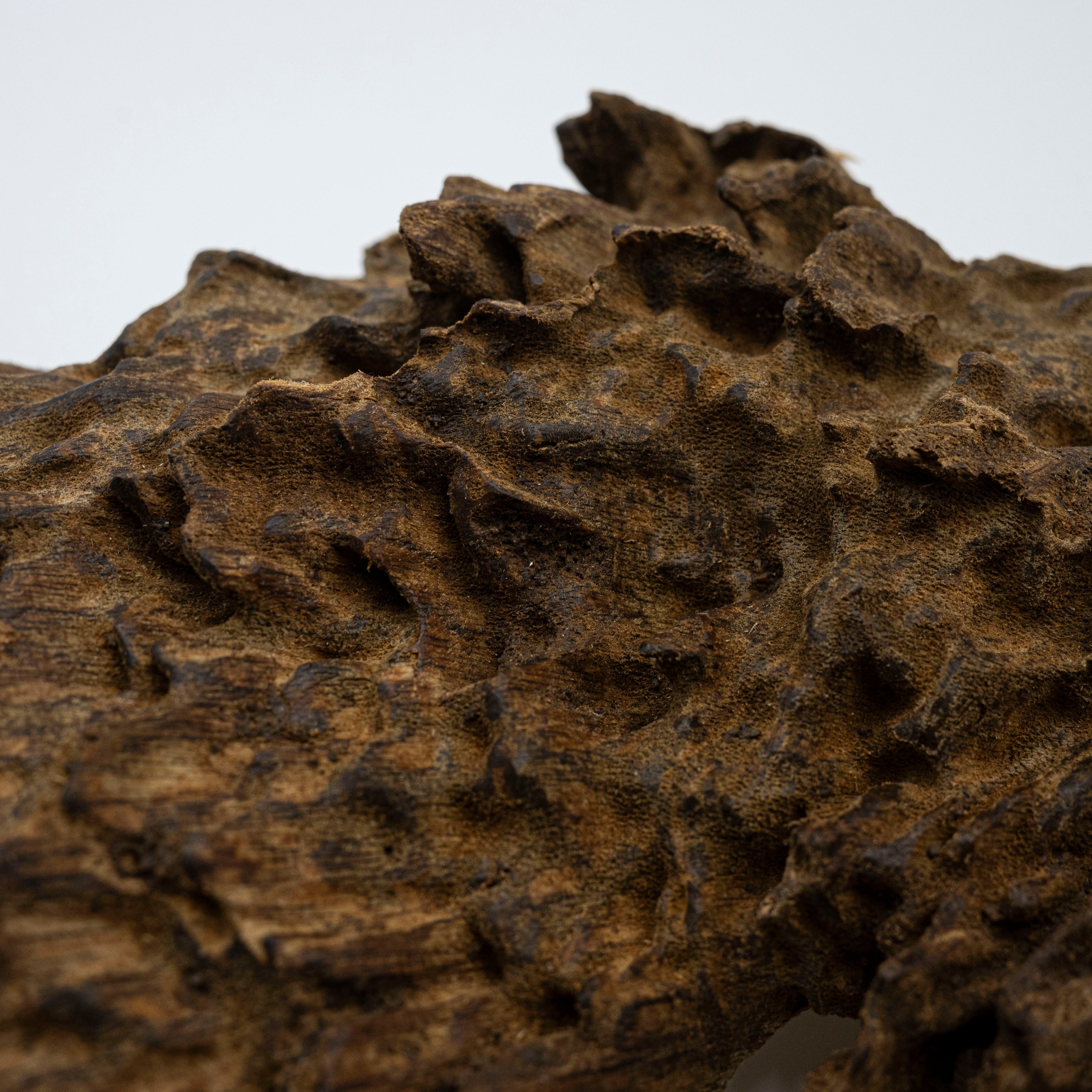 The Monolith of Stillness