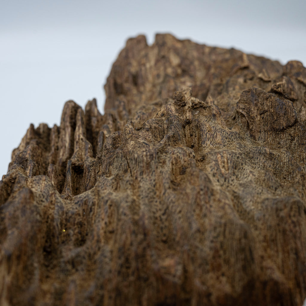 The Monolith of Stillness