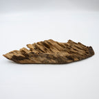 The Plume of Silence