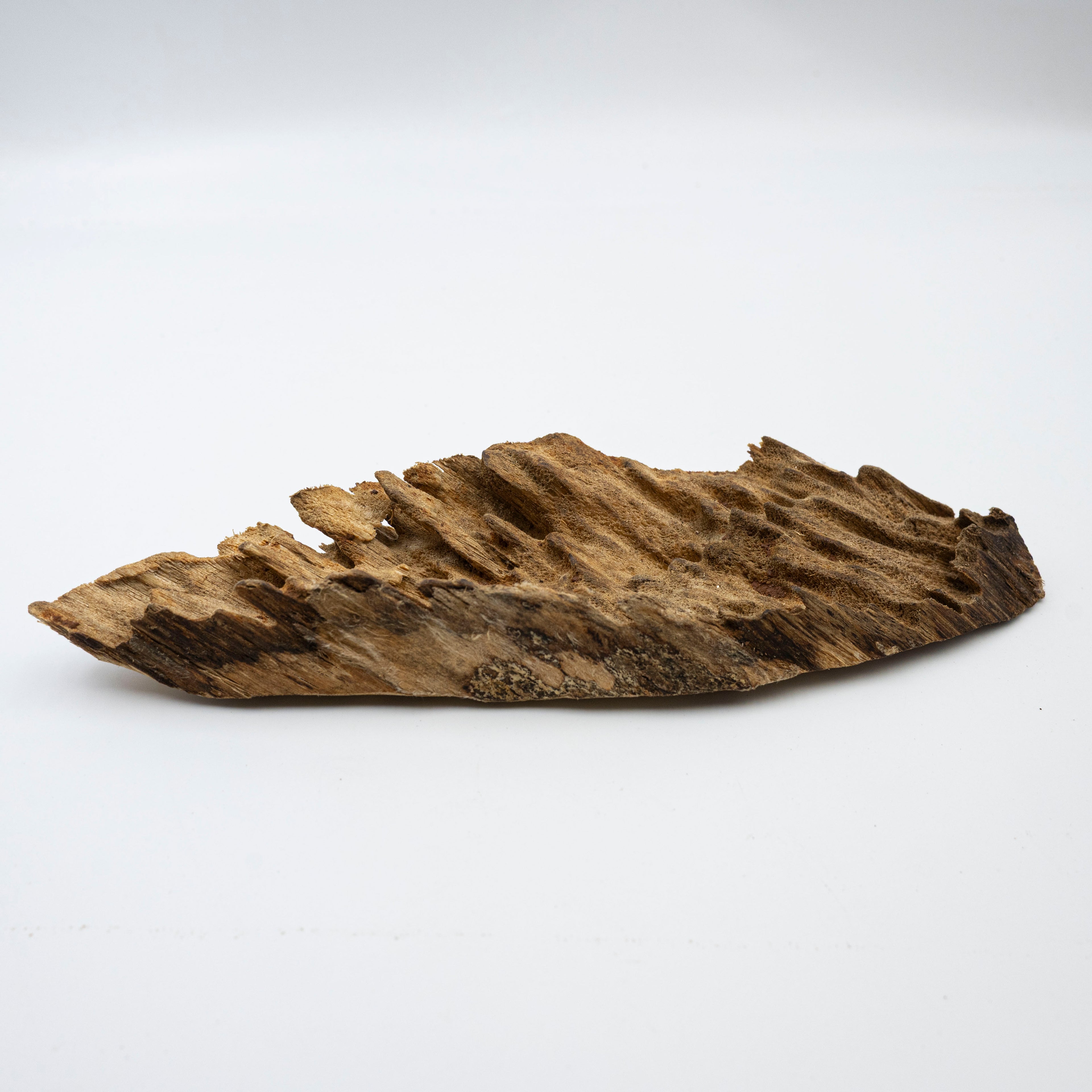 The Plume of Silence