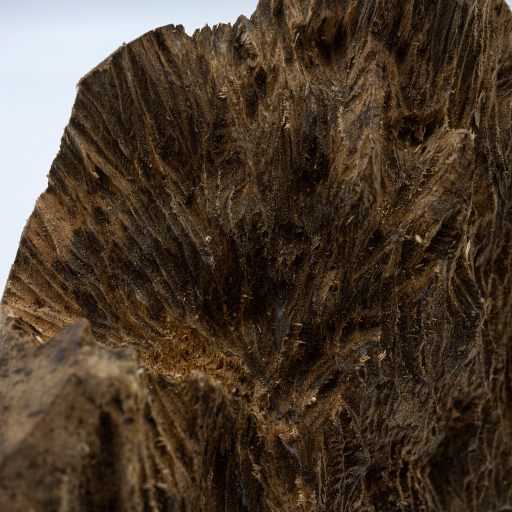 The Resinous Monolith